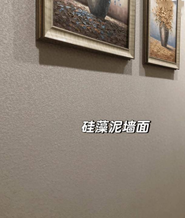 全屋刷硅藻泥“为环保”住了两年，苦不堪言 我用教训告诉你别踩坑